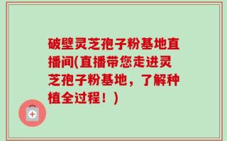 破壁灵芝孢子粉基地直播间(直播带您走进灵芝孢子粉基地，了解种植全过程！)