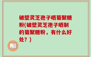 破壁灵芝孢子晒葡聚糖粉(破壁灵芝孢子晒制的葡聚糖粉，有什么好处？)