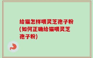 给猫怎样喂灵芝孢子粉(如何正确给猫喂灵芝孢子粉)