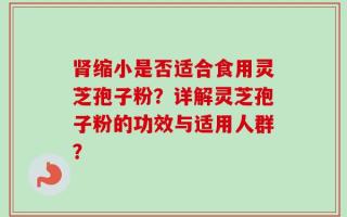 肾缩小是否适合食用灵芝孢子粉？详解灵芝孢子粉的功效与适用人群？