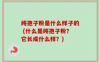 纯孢子粉是什么样子的 (什么是纯孢子粉？它长成什么样？)