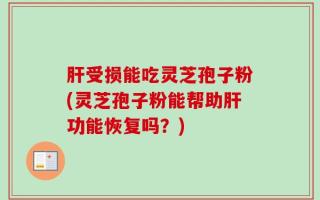肝受损能吃灵芝孢子粉(灵芝孢子粉能帮助肝功能恢复吗？)