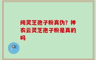 纯灵芝孢子粉真伪？神农云灵芝孢子粉是真的吗