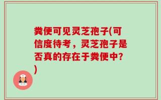 粪便可见灵芝孢子(可信度待考，灵芝孢子是否真的存在于粪便中？)
