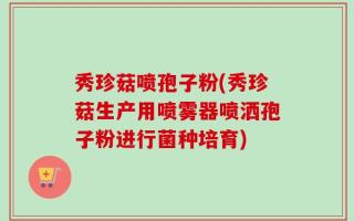 秀珍菇喷孢子粉(秀珍菇生产用喷雾器喷洒孢子粉进行菌种培育)