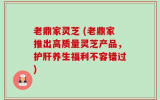 老鼎家灵芝 (老鼎家推出高质量灵芝产品，护肝养生福利不容错过)
