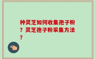 种灵芝如何收集孢子粉？灵芝孢子粉采集方法？