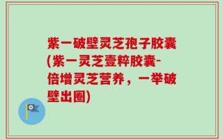 紫一破壁灵芝孢子胶囊(紫一灵芝壹粹胶囊-倍增灵芝营养，一举破壁出圈)