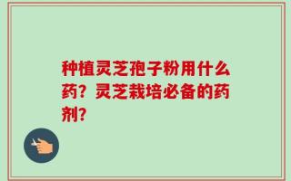 种植灵芝孢子粉用什么药？灵芝栽培必备的药剂？
