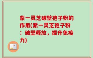 紫一灵芝破壁孢子粉的作用(紫一灵芝孢子粉：破壁释放，提升免疫力)