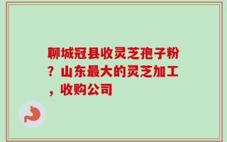 聊城冠县收灵芝孢子粉？山东最大的灵芝加工，收购公司