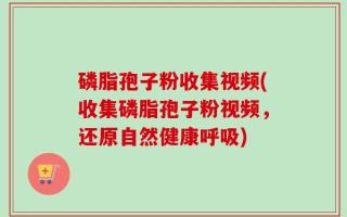 磷脂孢子粉收集视频(收集磷脂孢子粉视频，还原自然健康呼吸)
