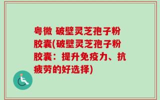 粤微 破壁灵芝孢子粉胶囊(破壁灵芝孢子粉胶囊：提升免疫力、抗疲劳的好选择)