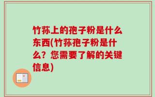 竹荪上的孢子粉是什么东西(竹荪孢子粉是什么？您需要了解的关键信息)