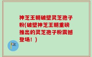 神芝王朝破壁灵芝孢子粉(破壁神芝王朝重磅推出的灵芝孢子粉震撼登场！)