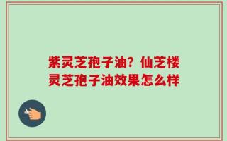 紫灵芝孢子油？仙芝楼灵芝孢子油效果怎么样