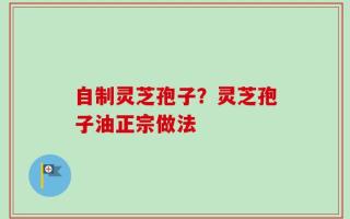自制灵芝孢子？灵芝孢子油正宗做法