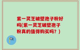 紫一灵芝破壁孢子粉好吗(紫一灵芝破壁孢子粉真的值得购买吗？)