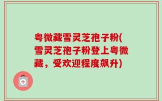粤微藏雪灵芝孢子粉(雪灵芝孢子粉登上粤微藏，受欢迎程度飙升)