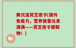 粪沉渣灵芝孢子(提升免疫力，营养微量元素满满——灵芝孢子提取物！)