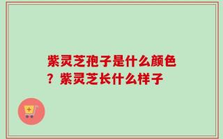 紫灵芝孢子是什么颜色？紫灵芝长什么样子