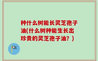 种什么树能长灵芝孢子油(什么树种能生长出珍贵的灵芝孢子油？)