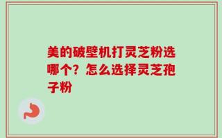 美的破壁机打灵芝粉选哪个？怎么选择灵芝孢子粉