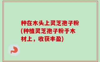 种在木头上灵芝孢子粉(种植灵芝孢子粉于木材上，收获丰盈)