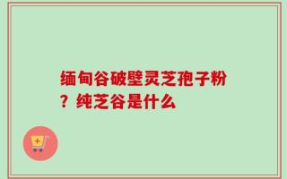 缅甸谷破壁灵芝孢子粉？纯芝谷是什么