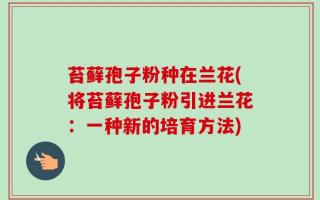 苔藓孢子粉种在兰花(将苔藓孢子粉引进兰花：一种新的培育方法)