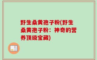 野生桑黄孢子粉(野生桑黄孢子粉：神奇的营养顶级宝藏)