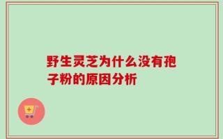 野生灵芝为什么没有孢子粉的原因分析