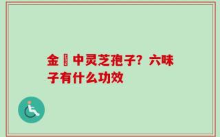 金貴中灵芝孢子？六味子有什么功效