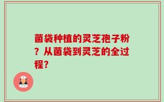 菌袋种植的灵芝孢子粉？从菌袋到灵芝的全过程？