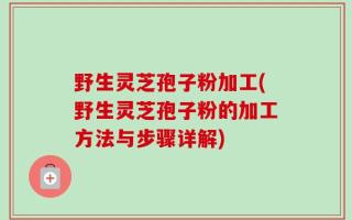 野生灵芝孢子粉加工(野生灵芝孢子粉的加工方法与步骤详解)