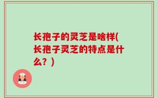 长孢子的灵芝是啥样(长孢子灵芝的特点是什么？)