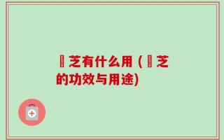 菉芝有什么用 (菉芝的功效与用途)