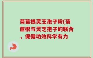 菊苣根灵芝孢子粉(菊苣根与灵芝孢子的联合，保健功效科学有力