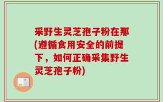 采野生灵芝孢子粉在那(遵循食用安全的前提下，如何正确采集野生灵芝孢子粉)
