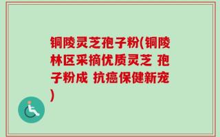 铜陵灵芝孢子粉(铜陵林区采摘优质灵芝 孢子粉成 抗癌保健新宠)