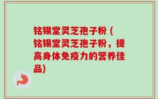 铭锡堂灵芝孢子粉 (铭锡堂灵芝孢子粉，提高身体免疫力的营养佳品)