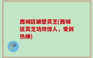 西城区破壁灵芝(西城区灵芝功效惊人，受到热捧)