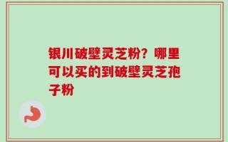 银川破壁灵芝粉？哪里可以买的到破壁灵芝孢子粉