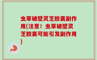 虫草破壁灵芝胶囊副作用(注意！虫草破壁灵芝胶囊可能引发副作用)