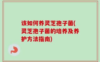 该如何养灵芝孢子菌(灵芝孢子菌的培养及养护方法指南)