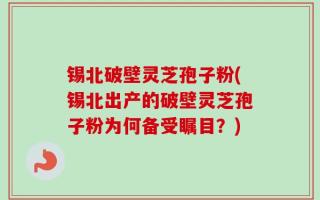 锡北破壁灵芝孢子粉(锡北出产的破壁灵芝孢子粉为何备受瞩目？)
