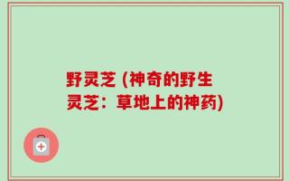 野灵芝 (神奇的野生灵芝：草地上的神药)