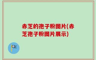 赤芝的孢子粉图片(赤芝孢子粉图片展示)