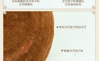 如何区分灵芝孢子粉的好坏，这几条一定要看！