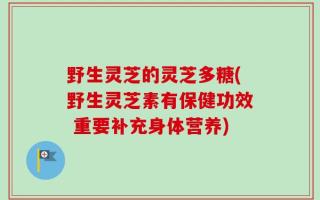 野生灵芝的灵芝多糖(野生灵芝素有保健功效 重要补充身体营养)